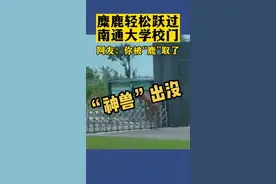 一只麋鹿突然闯入南通大学，轻松跃过学校大门，引目击学生一阵惊叹😂#江苏dou知道 #江苏全民目击 #南通 #神兽 视频封面