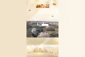 牡丹江：春暖花开 赏花踏青正当时 @抖音短视频