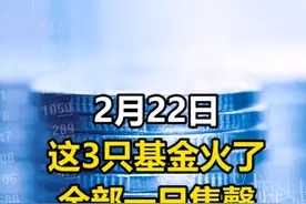 狂卖400多亿！基金又火了，3只产品一日售罄 #基金  #嘉实基金  #上投摩根  #华泰柏瑞 #投资 #抖音视频封面