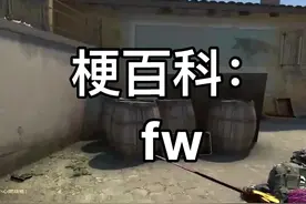 梗百科：很多人刷的fw到底是什么意思#csgo #王喜顺视频封面