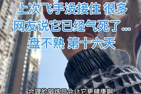 上次很多人说它气死了…… #蜜袋鼯 #萌宠 #户外视频封面