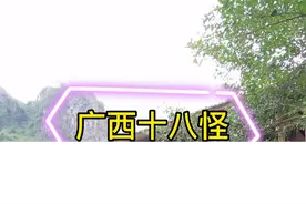 广西十八怪，你知道几怪？ #广西  #桂林  #文化旅游  #旅行推荐官   #网红导游 #广西文化视频封面
