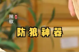 小仙女出门必须带上点装备保护自己！防“狼”小技巧，这瓶喷雾可少不了~#女性安全 #防身 #辣椒水 视频封面