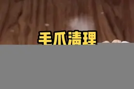 #创作灵感 #文玩鸡爪骨怎么处理 #文玩鸡爪骨制作流程介绍 #文玩鸡爪骨 #文玩鸡蹬子 @贤子学堂 今日分享文玩鸡爪骨～毛爪的处理加工制作流程！#慢工出细活 