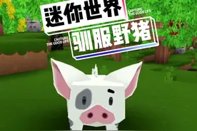 迷你世界，驯服野猪，成为坐骑！#迷你世界 #迷你新世界 #学生党视频封面