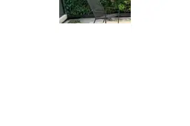 如何在家中饲养#鲨鱼 #海洋生物 #海缸 #宠物 #鱼缸 #神奇动物在抖音 @抖音短视频 视频封面