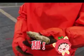 甜！消防接警居民家中有蜜蜂，征得同意后将蜂巢带回制成了蜂蜜视频封面