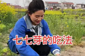 春天的时候就是吃野草野菜的季节，这种野菜你吃过吗？七七芽对人体的好处特多，今天我给大家分享四种吃法，你看喜欢哪一种#乡村守护人 #野菜美食 #农村美食记录生活 #七七芽视频封面