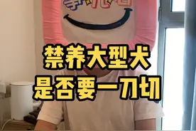 北京六环禁养大型犬是否要一刀切 #爱犬 #抓狗 #北京 #大兴视频封面