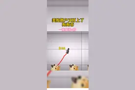 美股散户又盯上了狗狗币，一夜之间暴涨4倍#加密货币 #区块链 #马斯克   #狗狗币暴涨  #美股  #散户视频封面