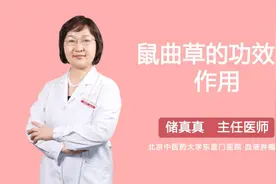 鼠曲草的功效与作用视频封面