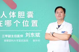 人体胆囊在哪个位置