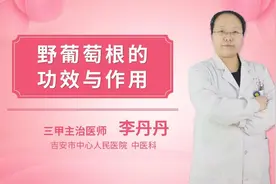 野葡萄根的功效与作用