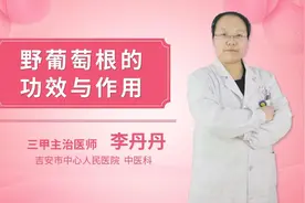 野葡萄根的功效与作用