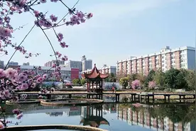 汉口学院宣传片