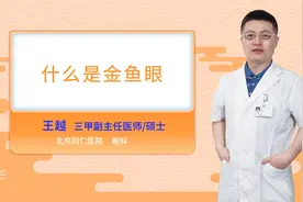 什么是金鱼眼视频封面