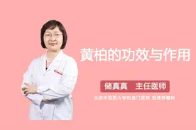 黄柏的功效与作用