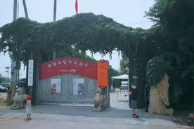 观复博物馆视频封面