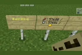 我的世界:特殊图标打法(变色和金币)