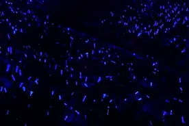 摸不到的颜色是否叫彩虹，看不到的拥抱是否叫微风。《星空》