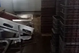 现代化红枣加工一条线新设备你见过吗？视频封面