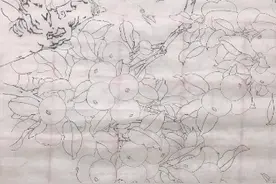 工笔画苹果画法视频，徐颖工作室金雅轩视频封面