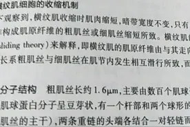 横纹肌细胞的收缩机制