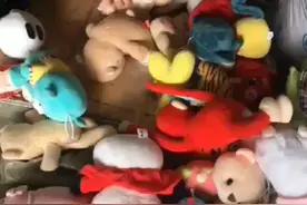 废旧小毛绒玩具不要随便扔了，非洲小朋友大量需要。视频封面