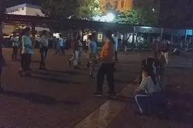 深圳这个南方城市的冬天不太冷，有点像春天