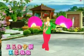 芙蓉姐姐原创广场舞《关东情》正反面分解！