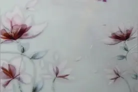 解决瘫痪老人大小便问题的产品，视频封面