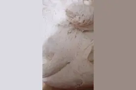 老面的保存方法，超级简单，有了这个方法再也不用花钱买老面了！视频封面