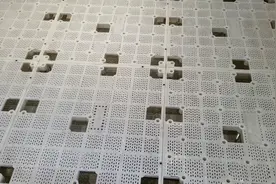 不用砂子水泥通过磁砖铺挂架可以直接铺磁砖，干净卫生环保无毒害视频封面