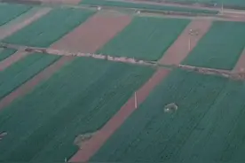 魅力王岗乡视频封面