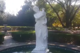 爱的召唤。视频封面