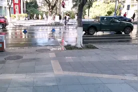 这是攀枝花市炳草岗有名的大梯道是从电影院大道望上拍摄的真好。视频封面