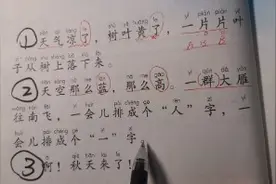 小学语文一年级上册课文1《秋天》的讲解视频封面