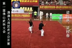 第一届佛山武林大会，港澳大湾区武术公开赛视频封面