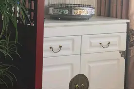 我养了一只八哥，一直在笼子里乱叫，有知道什么原因的大神吗？欢