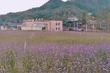 邯郸第四届旅游发展大会主会场在这里！