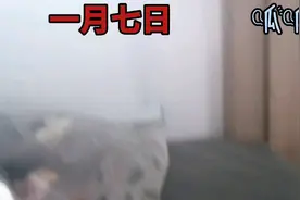 蛤蟆叔叔独自一人在车上嘟嘟囔囔，谈谈女司机。