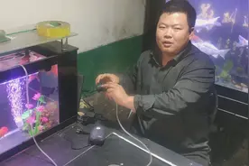 鱼缸里一个重要的配件氧泵，应该怎么使用？视频封面