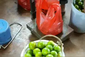 海南福橙，现在开始打包快递，周末日的也可以进果园自由采摘视频封面