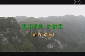 苗歌:你不喜欢我，我喜欢你视频封面