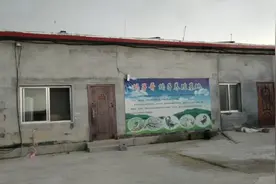 蚊香能杀死蝎子和黄粉虫吗？实验结果如何……