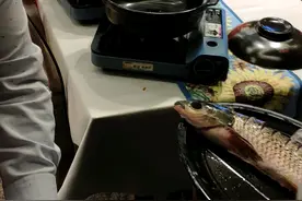 啤酒鱼的做法视频封面