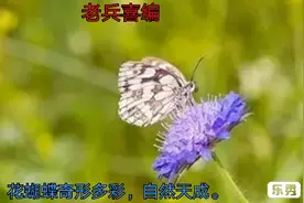 .先进的社会生态理论配上自然生态理论才完整。视频封面