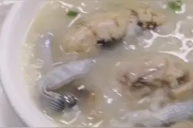 北海特色泥丁鸡卵粥，大补啊👍👍👍