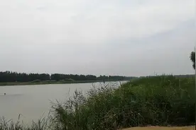 青龙湖生态园视频封面