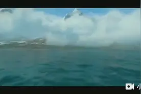 原来长颈鹿是这样形成的，视频封面
